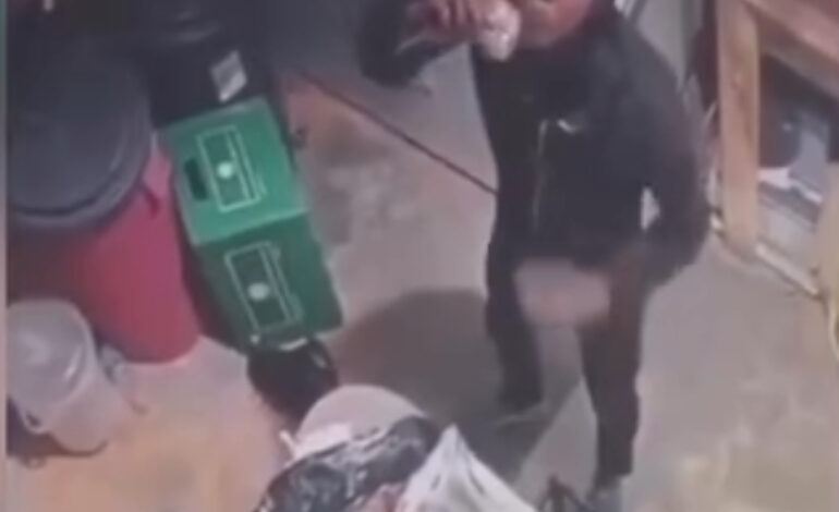 Captan “Infraganti” Haitianos robando compotas y dinero de colmado