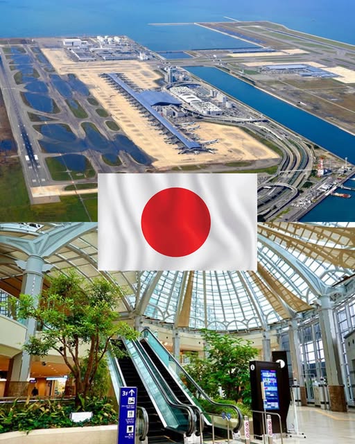 IGUALITO QUE EN TU PAÍS! JAPÓN ESTABLECE UN NUEVO RÉCORD TRAS LLEVAR 30 AÑOS SIN PERDER UN SOLO EQUIPAJE.
