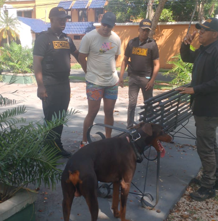 POLICÍA NACIONAL ARRESTA HOMBRE ACUSADO DE LANZAR PERROS DESDE EL PISO 11 DE UNA TORRE RESIDENCIAL EN EL DISTRITO NACIONAL