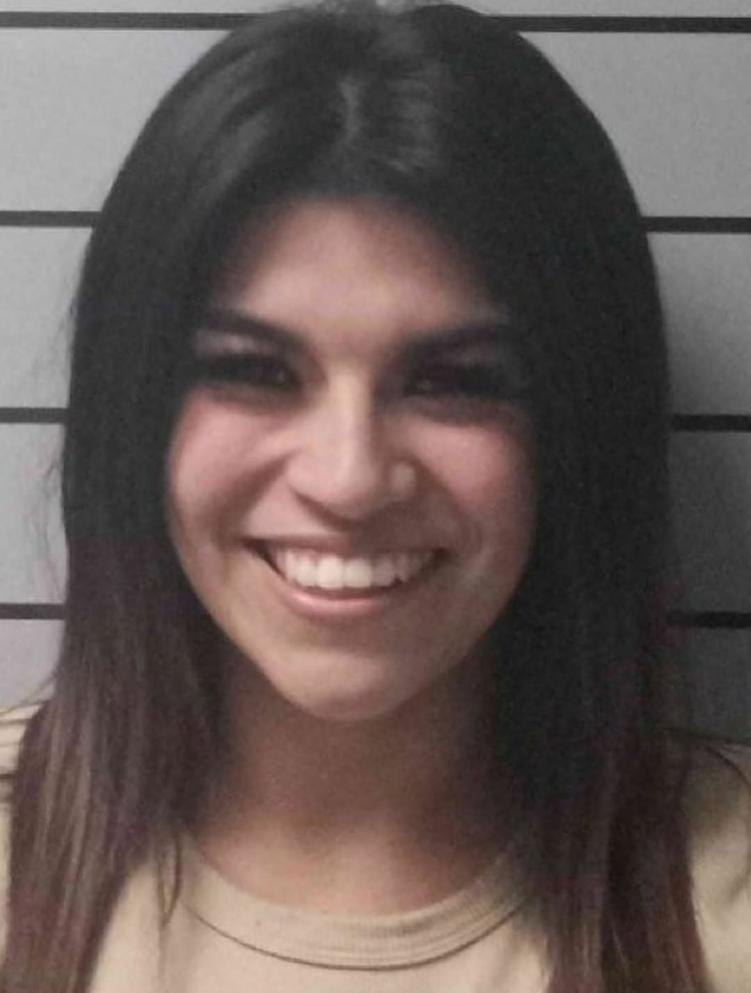 UNA MUJER DE KENTUCKY FUE ARRESTADA POR VERTER BRILLO EN EL AIRE ACONDICIONADO DEL AUTO DE SU EX Y SAL EN EL MOTOR