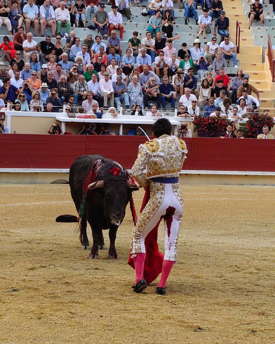 EL TORERO COLOMBIANO JUAN DE CASTILLA SUFRIÓ UNA COMPLICADA CORNADA EN BAYONA, FRANCIA.