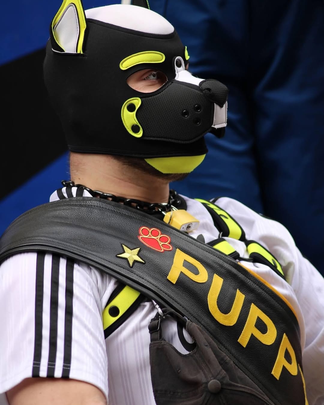 En Belgica realiza el Puppy Walk, una reunion de personas que se auto perciben como caninos
