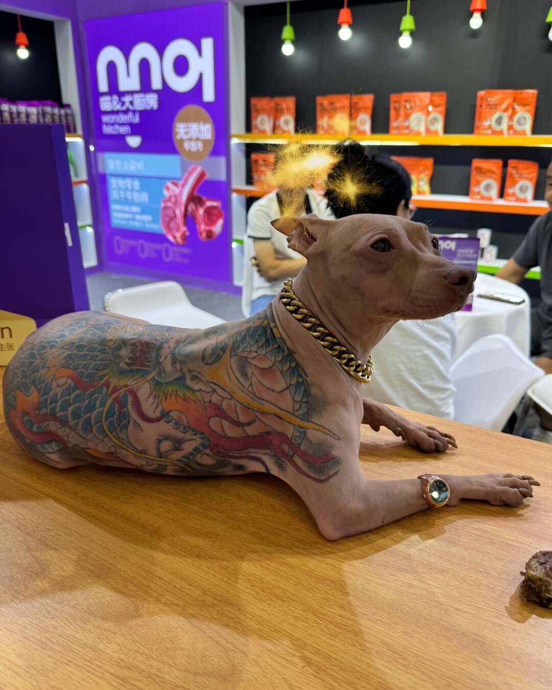 Banean dueño de perro de feria de mascotas en China por haberlo tatuado y admitir haberlo hecho sin anestesia.
