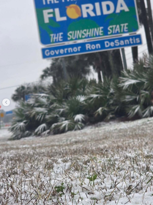 INCREIBLE, PERO CIERTO. SE REGISTRAN NEVADAS EN FLORIDA POR SEGUNDO AÑO CONSECUTIVO. ENTRE 2 Y 5 CENTIMETROS DE NIEVE ACUMULADA